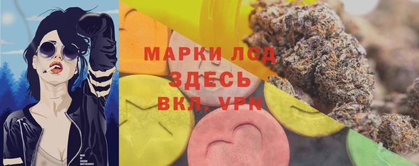 прущие грибы Верея